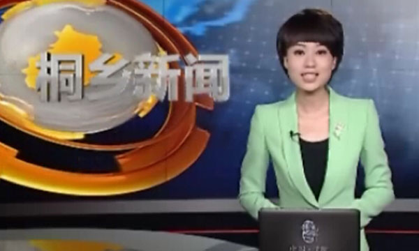 企業(yè)專題片